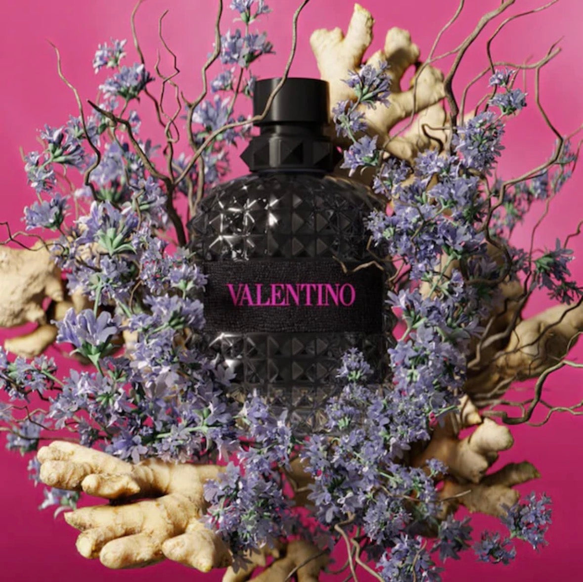 Valentino Uomo Born in Roma
