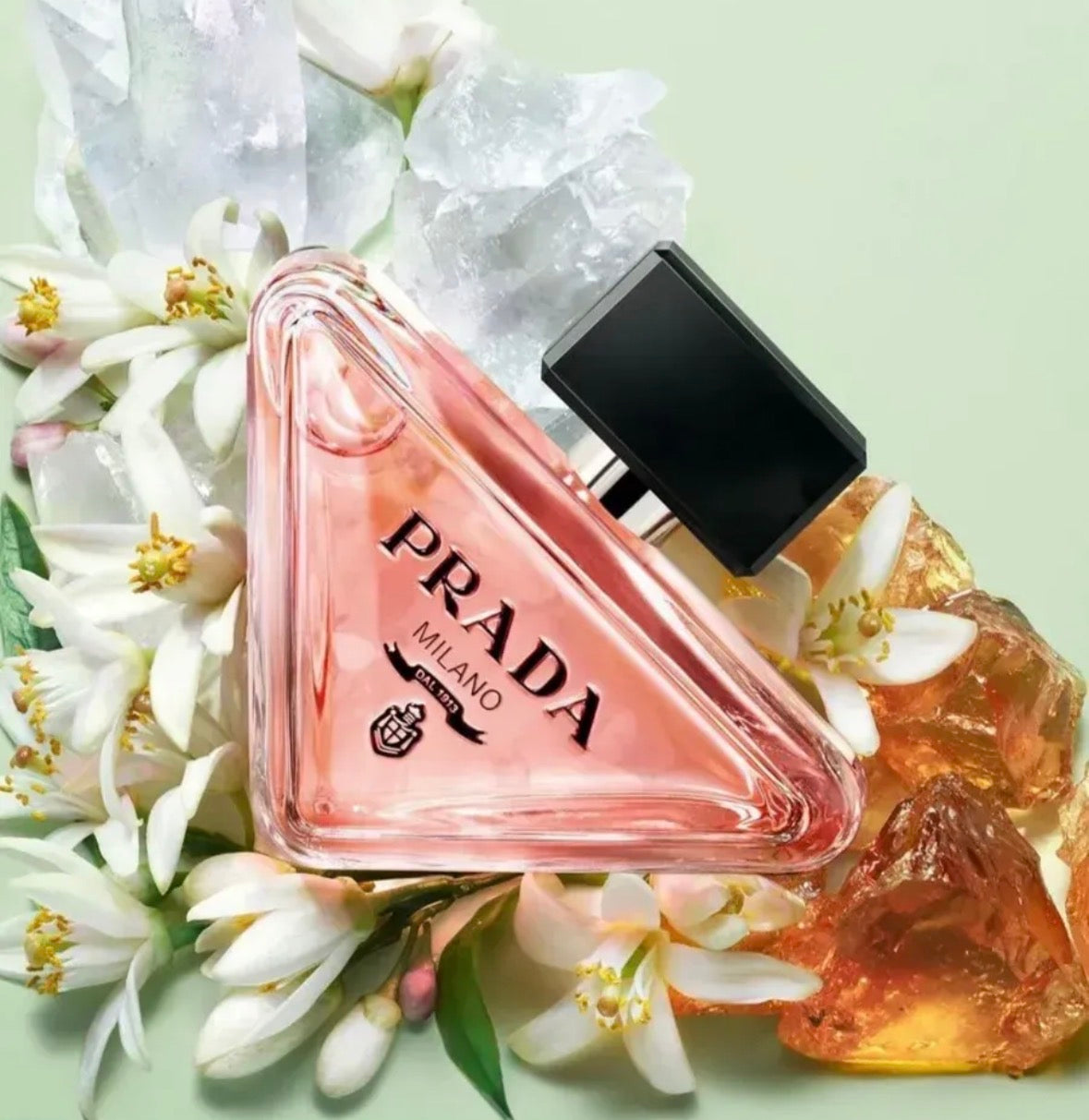Prada Milano Paradoxe